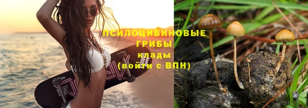 сатива Ладушкин