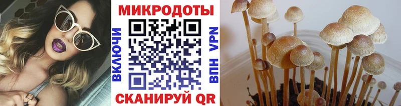 Галлюциногенные грибы Psilocybine cubensis магазин MEGA маркетплейс Малгобек